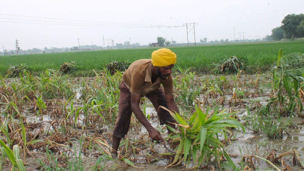 What Prevents a Solution to the Problem of Falling Groundwater Tables in Punjab