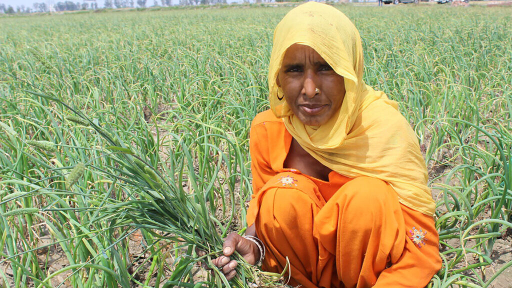 Farm Households Earn More from Wages than Crops: What Does This Imply?