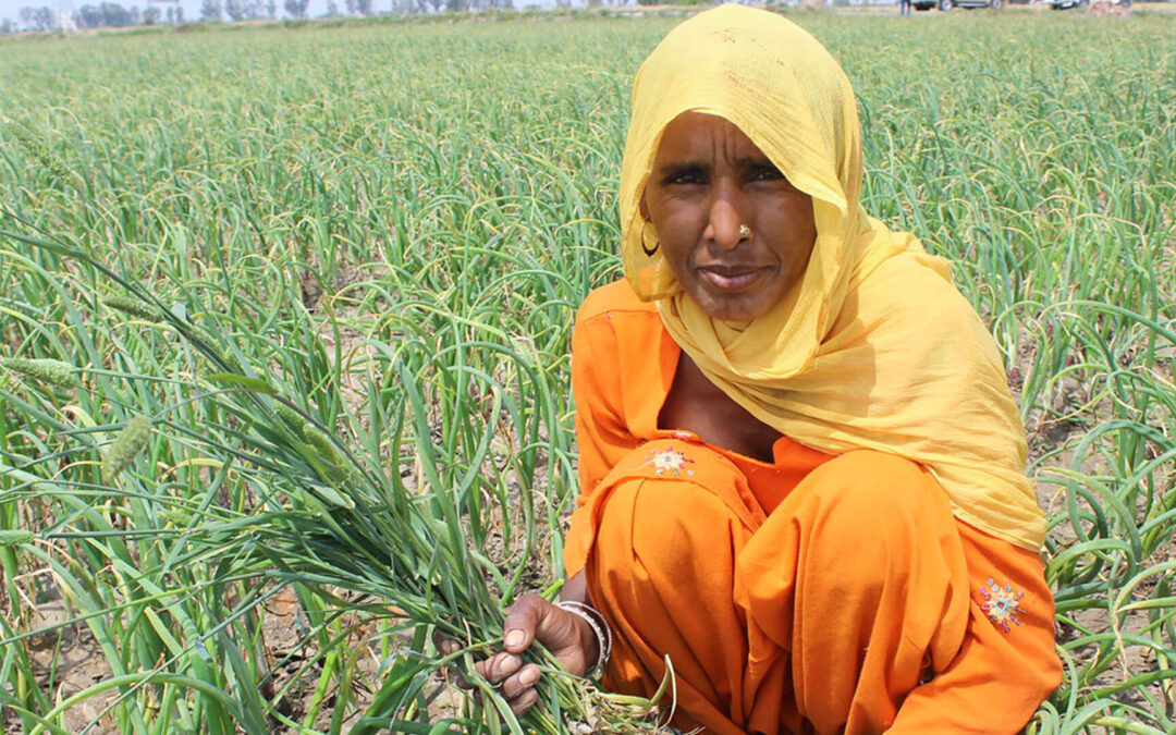 Farm Households Earn More from Wages than Crops: What Does This Imply?