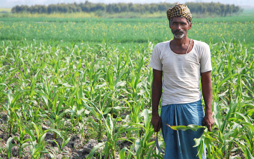 SBI Research Doubles Farmers’ Income