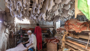 Digitalisation’s Marginalising Impact on India’s Unorganised Sector