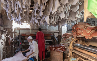 Digitalisation’s Marginalising Impact on India’s Unorganised Sector