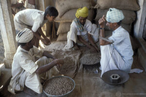 The Conditions of India’s Peasantry and the Digitalisation of Agriculture